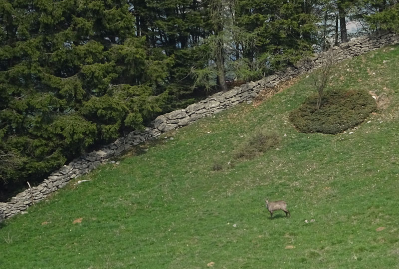 passeggiata: da S.Valentino a M.ga Bes